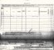 Larrison, Joel - 1880 US Federal Census Schedule of Defective...