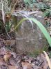 Greenwood, Nancy Jarvis - headstone